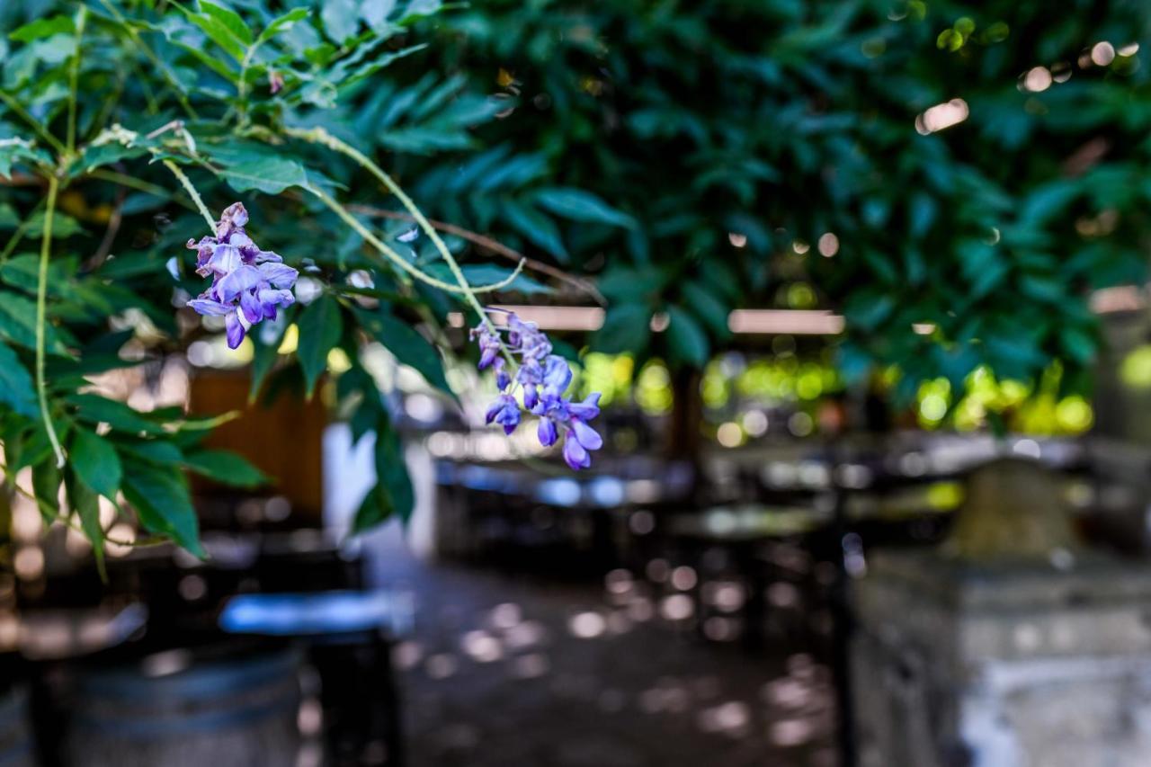 Logis Hotel Du Chene Itxassou Εξωτερικό φωτογραφία